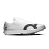 white / frost