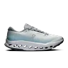 glacier / tide